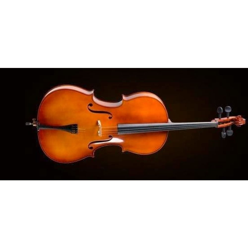 VALENCIA CE400F44 CELLO, FRENCH STYLE, 4/4 2