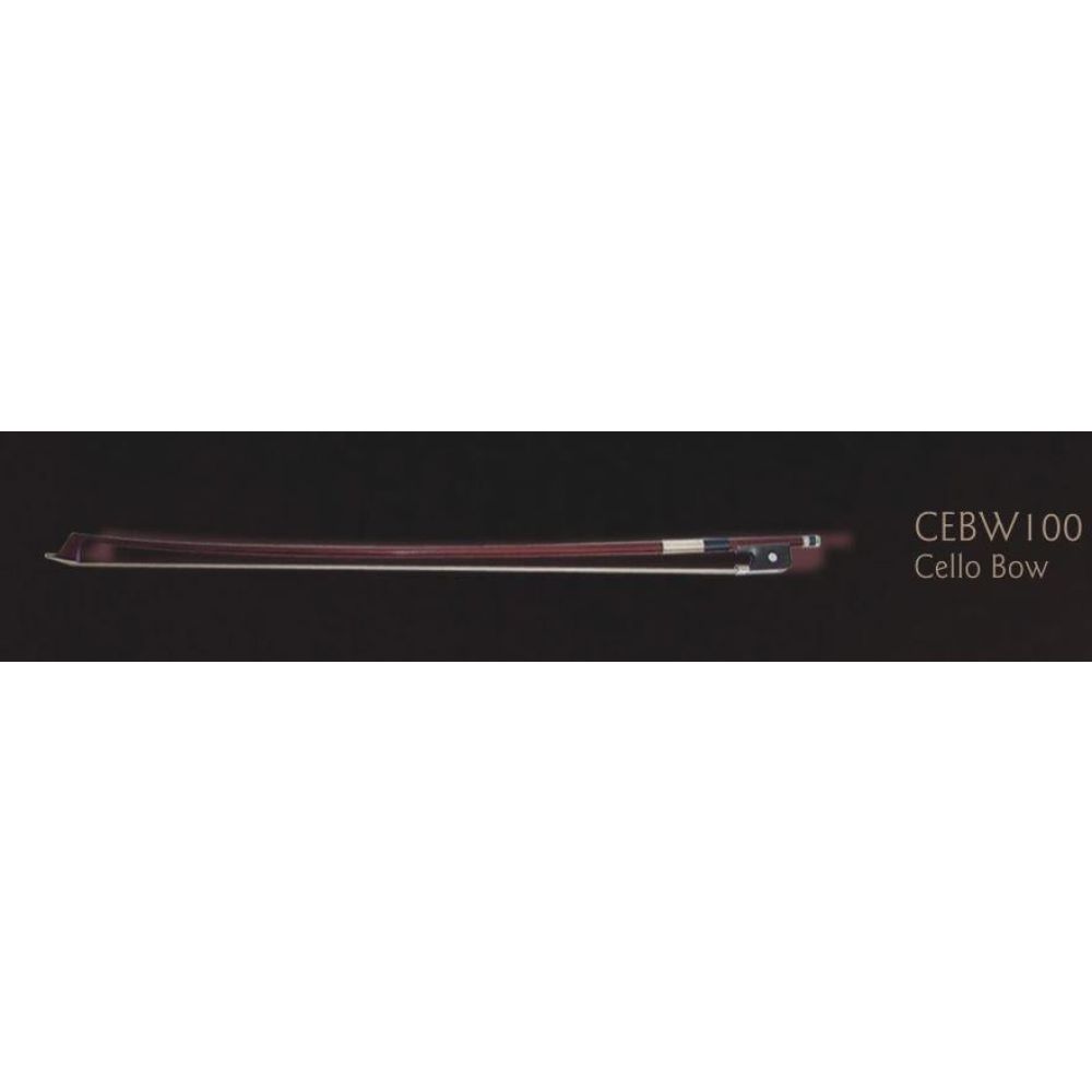 Valencia Cebw100 Çello Yayı 4/4 2