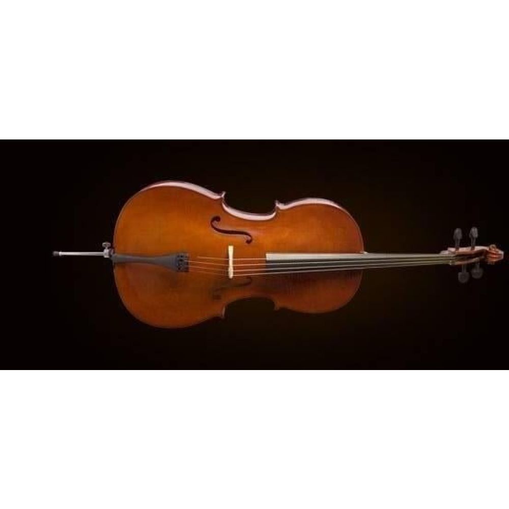 VALENCIA CE160G44 CELLO, GERMAN STYLE, 4/4 2