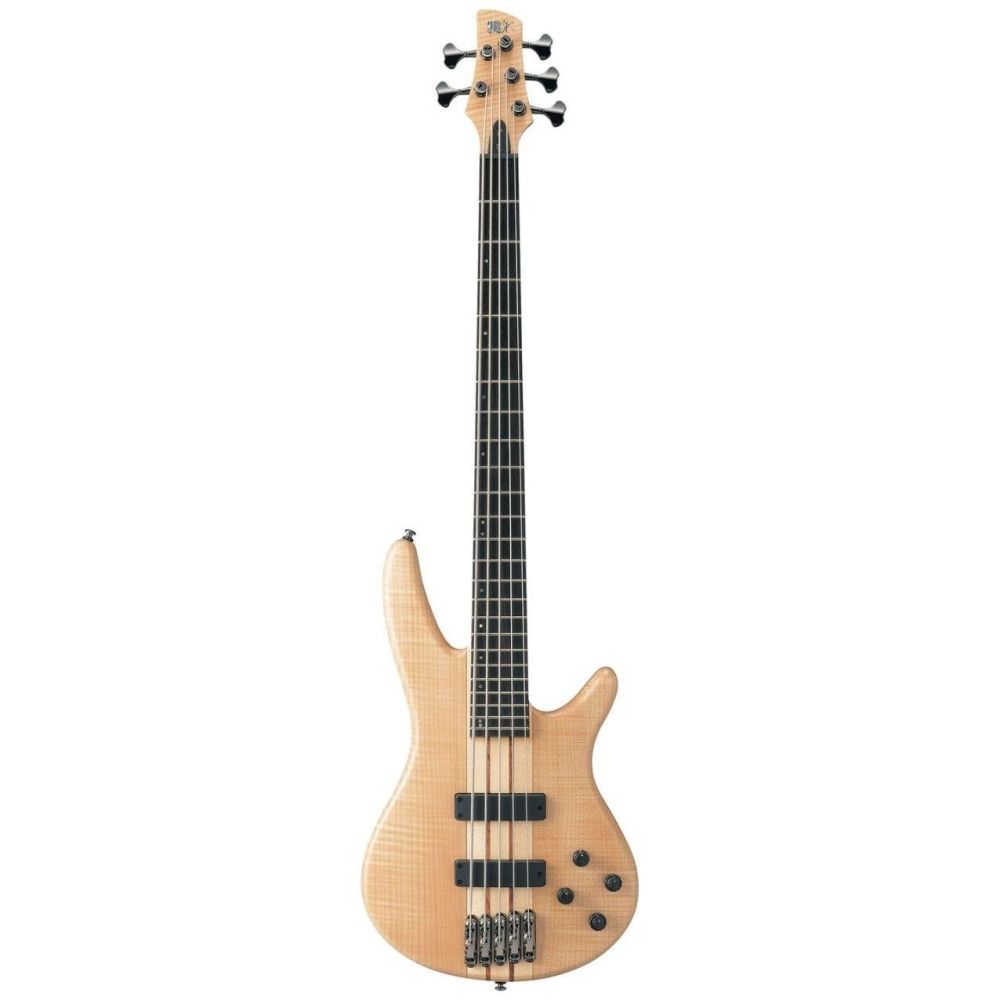 Ibanez Sr1005efmntf Bass Gitar, Çantalı, 5 Telli 4