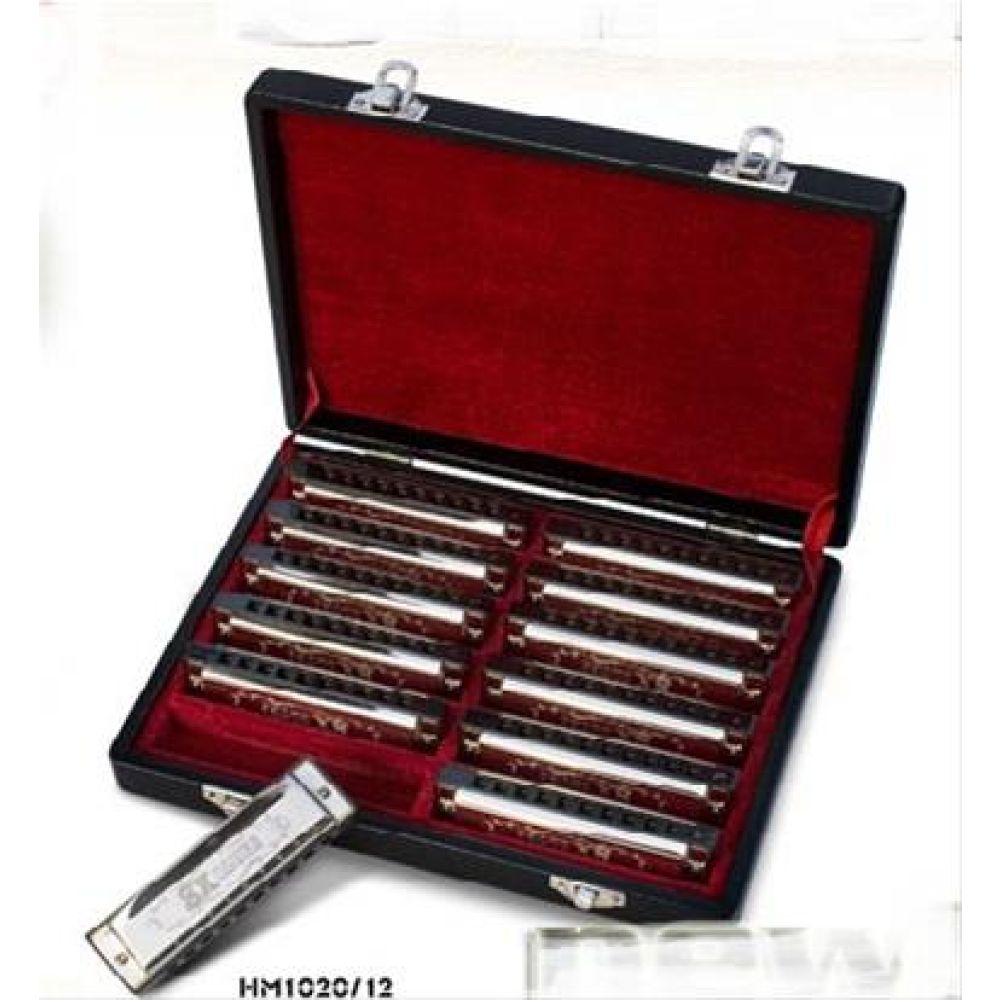 Valencia Hm1020-12 Mizika Set 12li 3