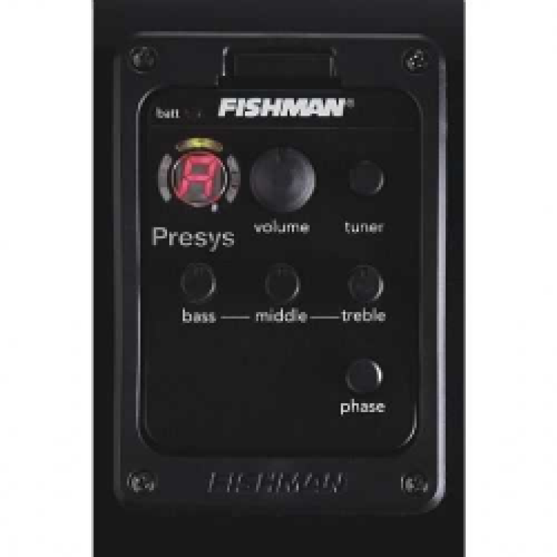 FISHMAN PSY101-N40  EKOLAYZER 2