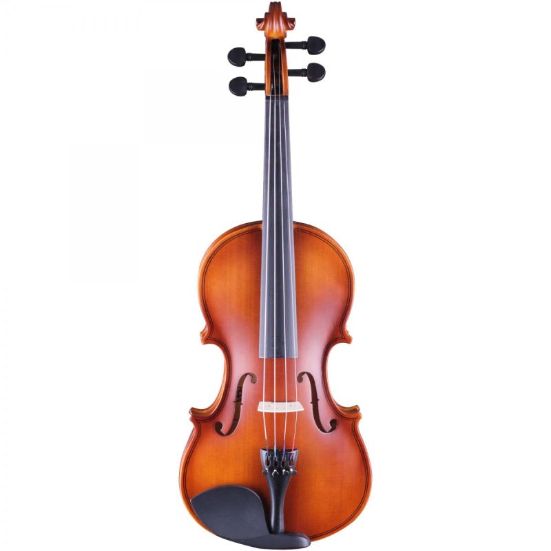 Rosa 4/4 Keman - Mat Cilalı (Rv044M) 2