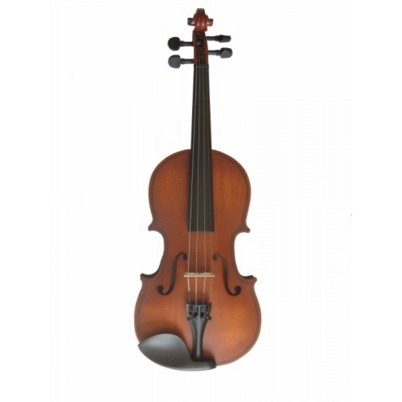 Palermo AL3-4/4 Keman (Taşıma Çantası,ReçineYay Dahil) 2