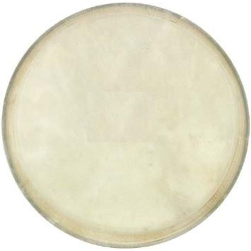 Cox Bongo Derisi (6\ 2