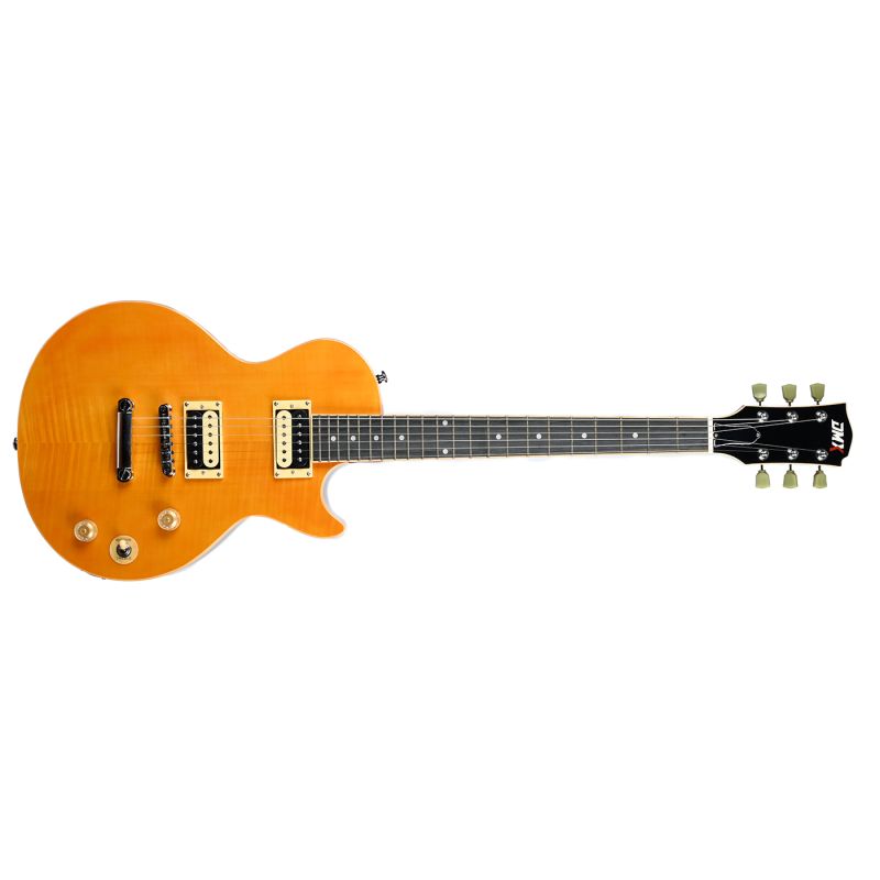 Dmx Guitars DALP100 A Slash AFD Les Paul Elektro Gitar (Taşıma Çantası Hediyeli) 5