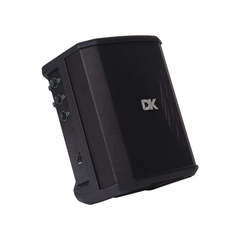 DK Technology IC-150 Akustik Gitar Amfisi 3