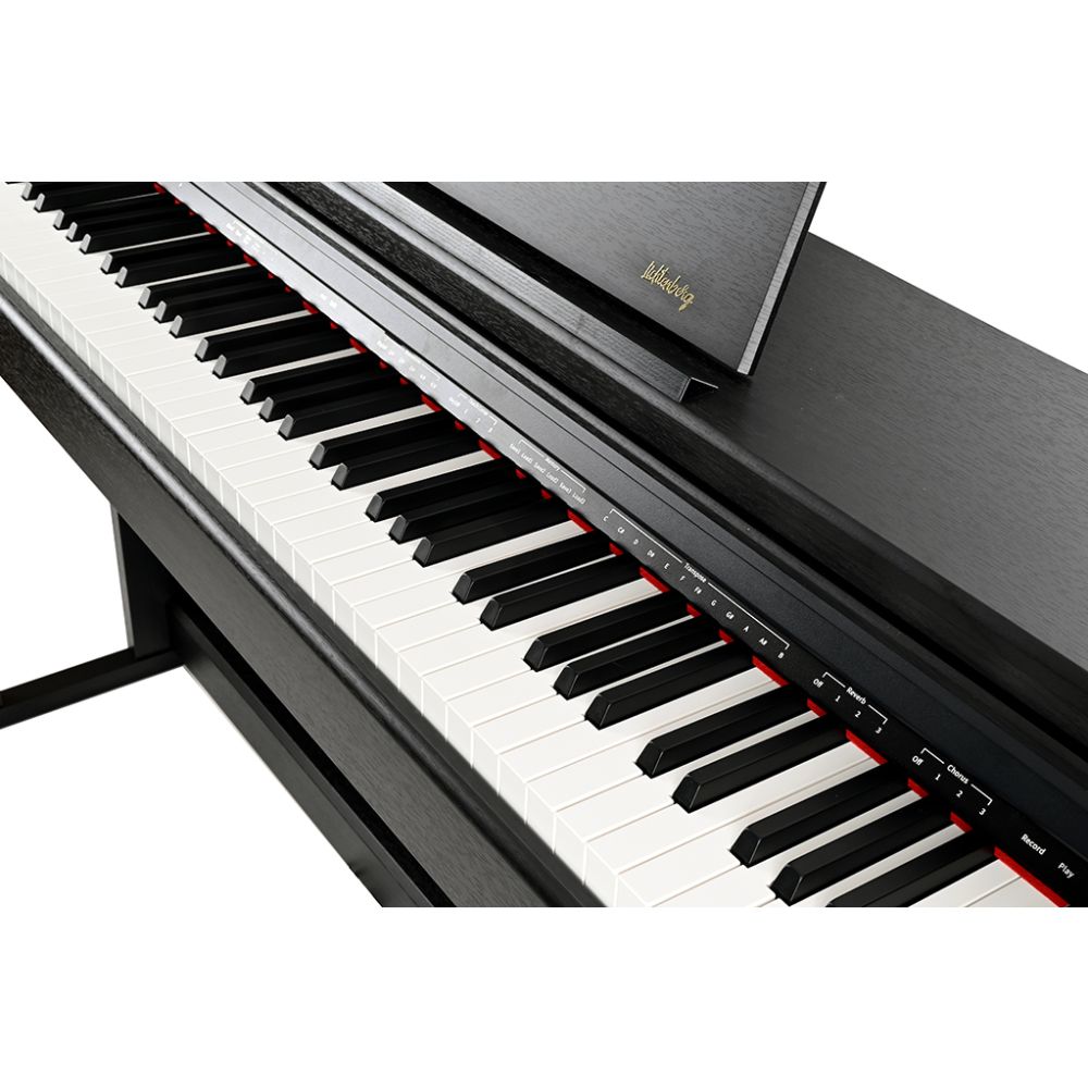 Lichtenberg LDP-17BK Dijital Piyano (Kulaklık ve Tabure Hediyeli) 5