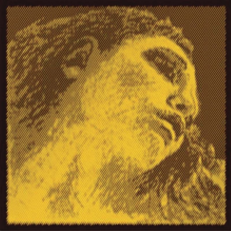 Evah Pirazzi Gold Viyola Takım Tel 3