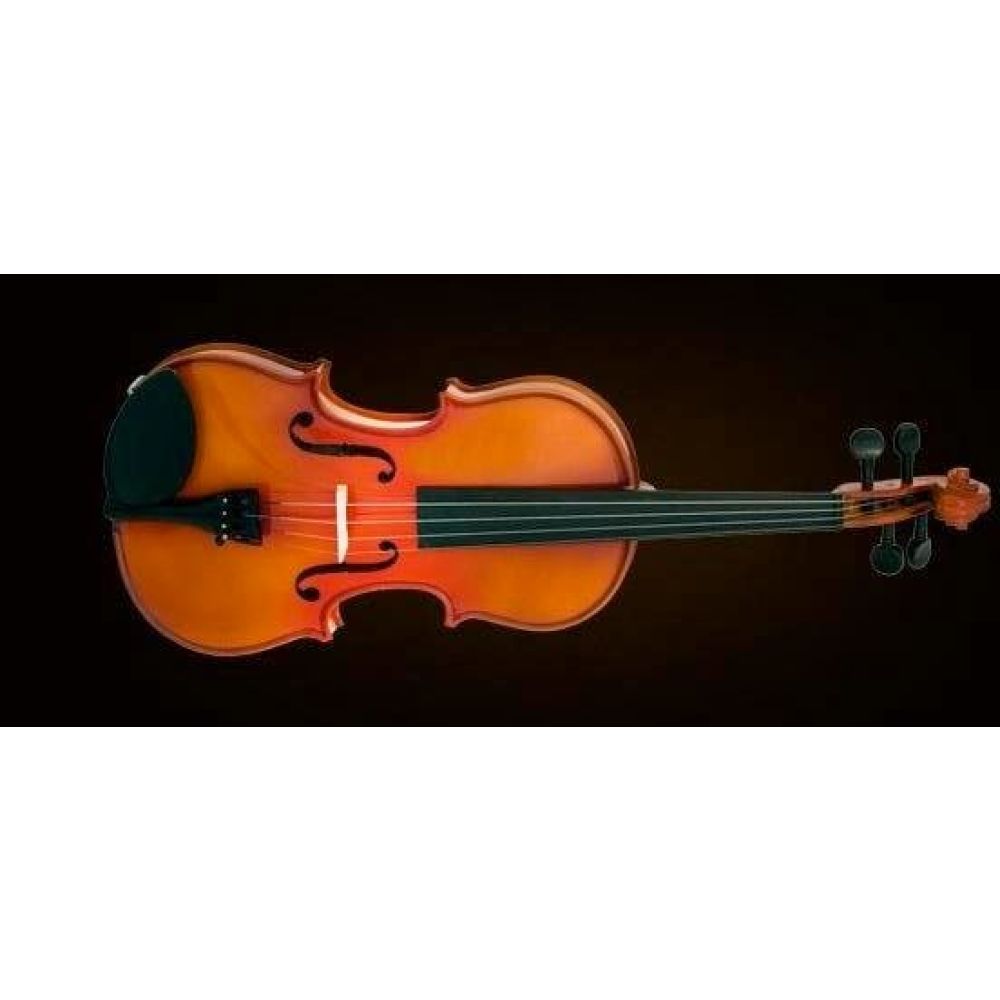 Valencia Va40040 Viyola Kutulu 16" 40,64cm 3