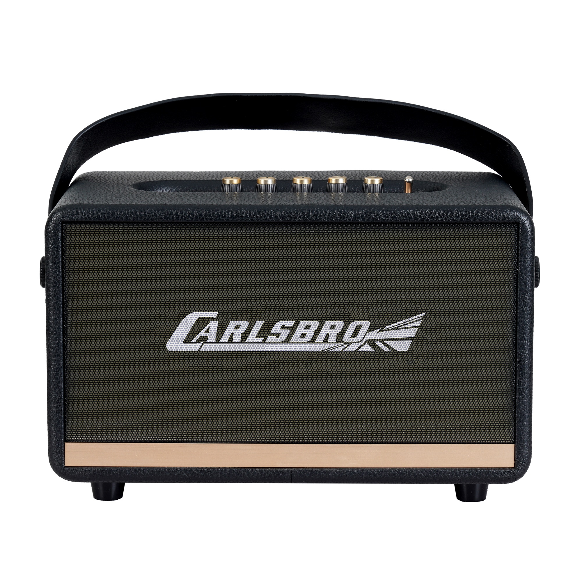 Carlsbro EW CK30-DM Bluetooth Hoparlör (Siyah - 2 Kablosuz Mikrofonlu) 2