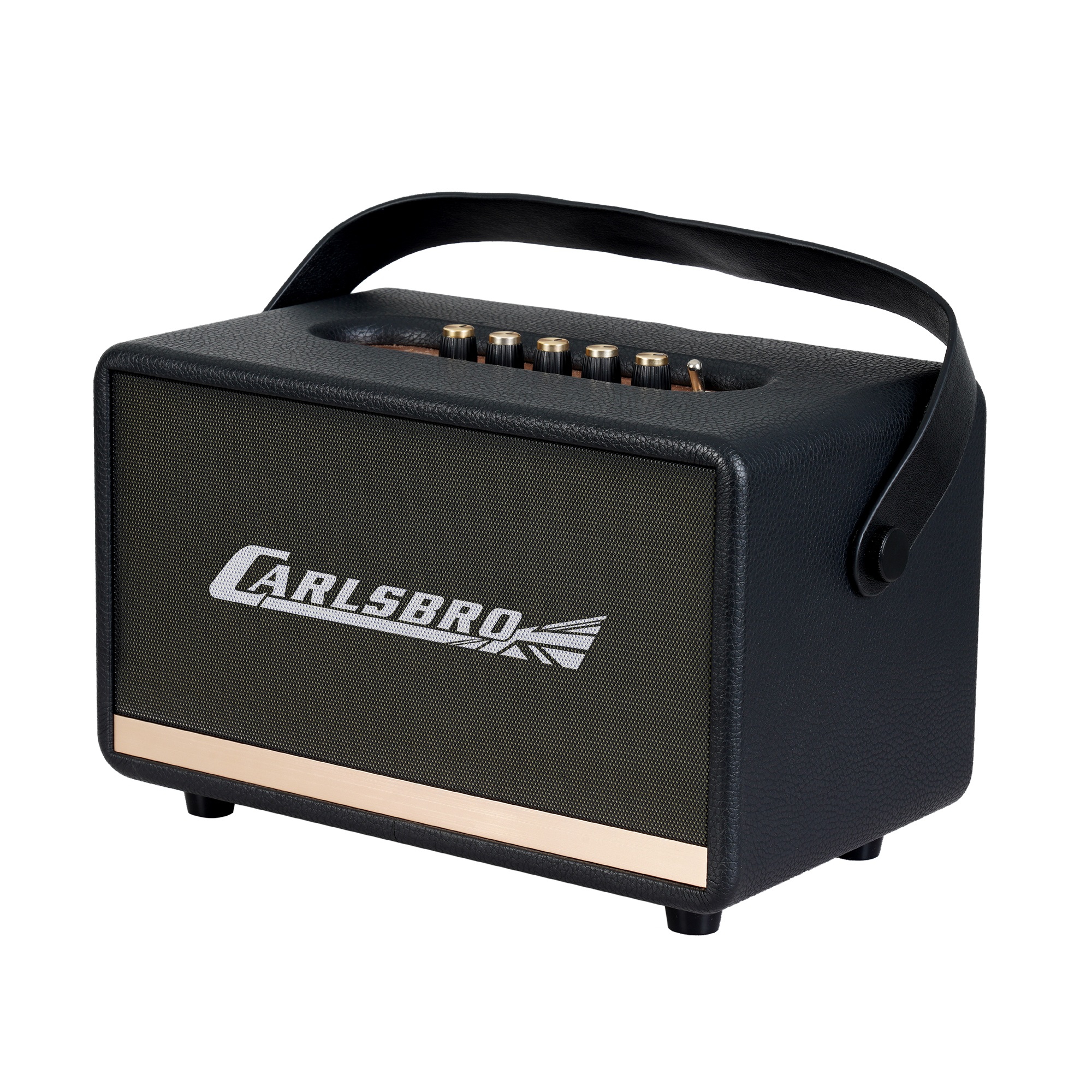 Carlsbro EW CK30-DM Bluetooth Hoparlör (Siyah - 2 Kablosuz Mikrofonlu) 3