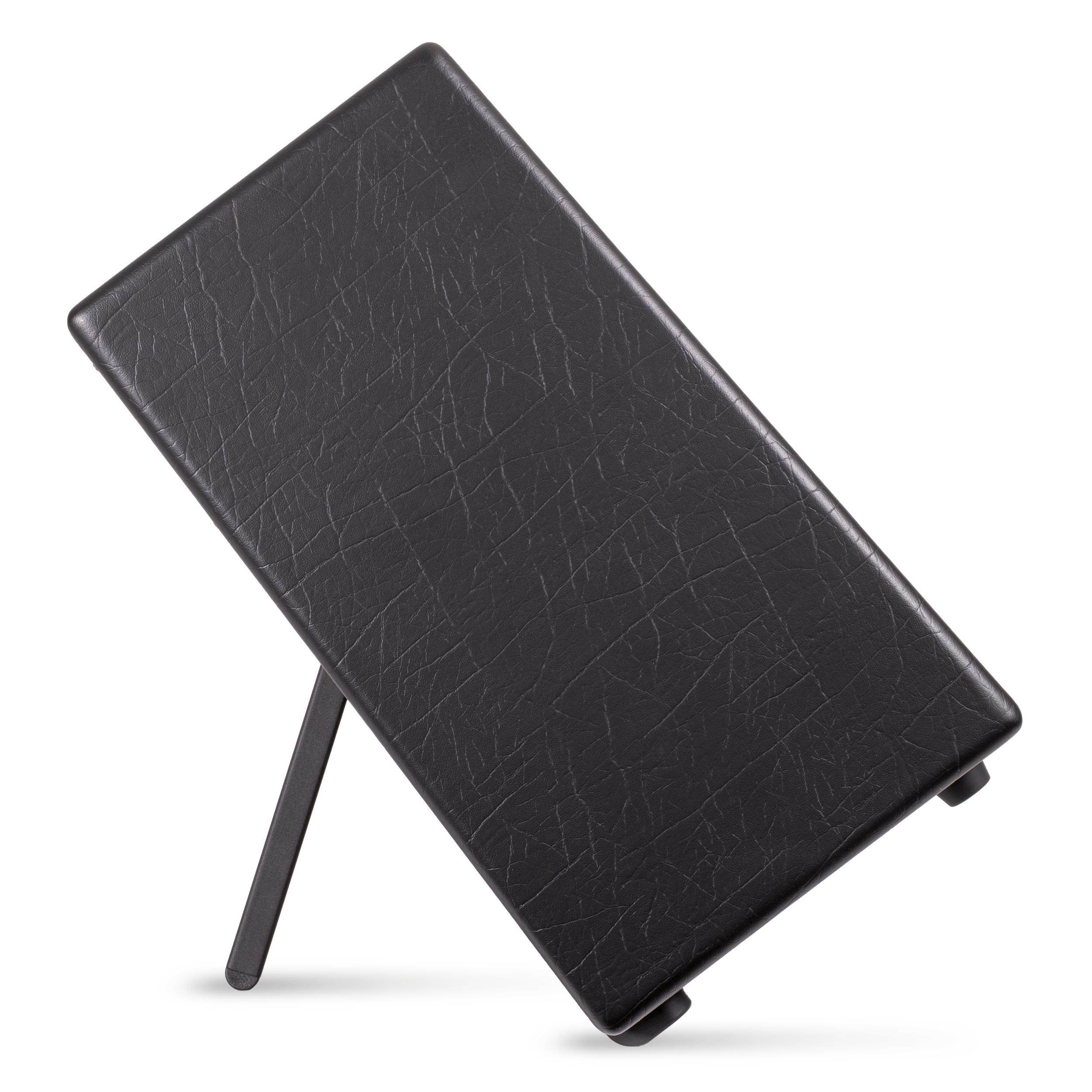 Blackstar Artist FR Special 1x12” Kabin 3