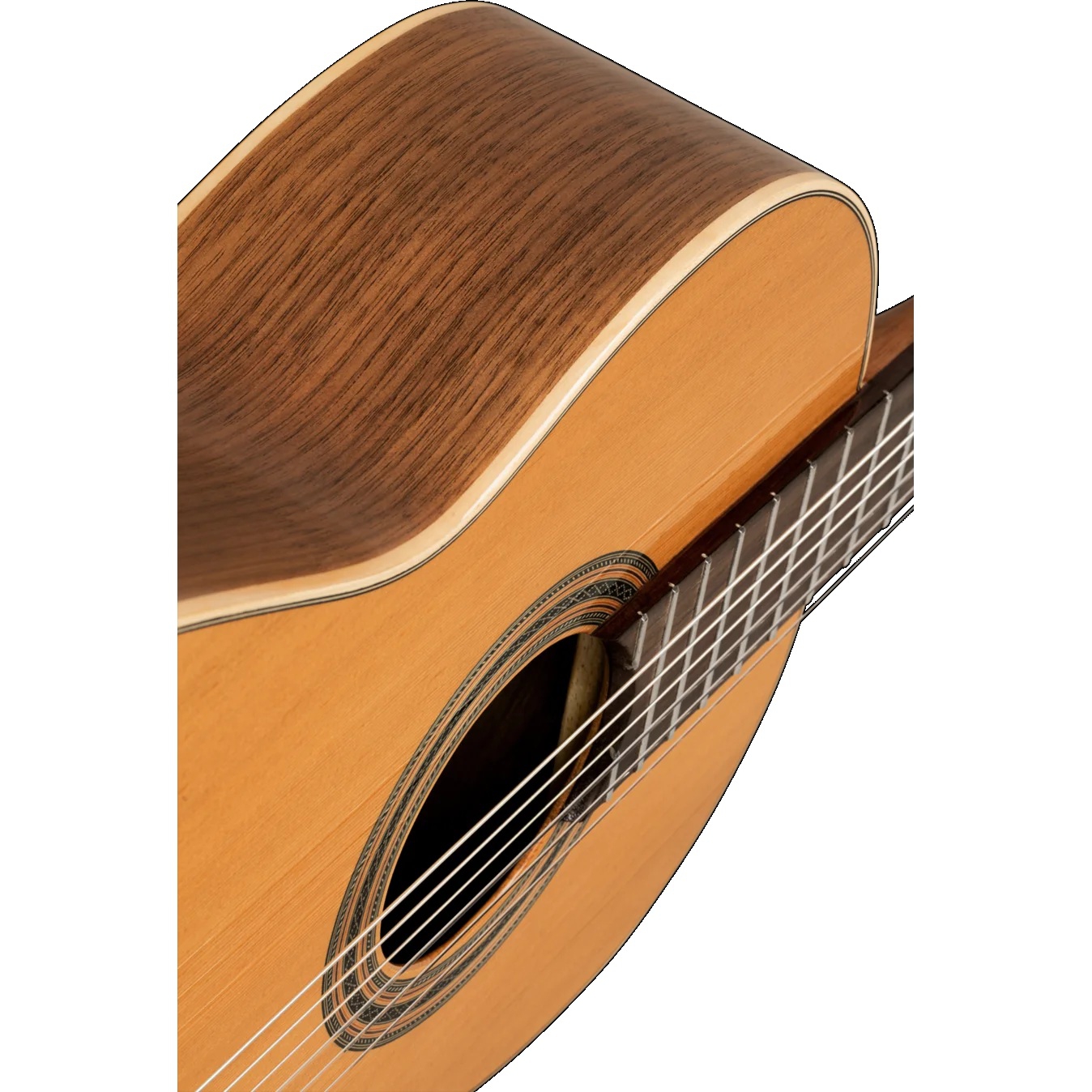 Ortega R20GSNWN Traditional Klasik Gitar (Natural) 5