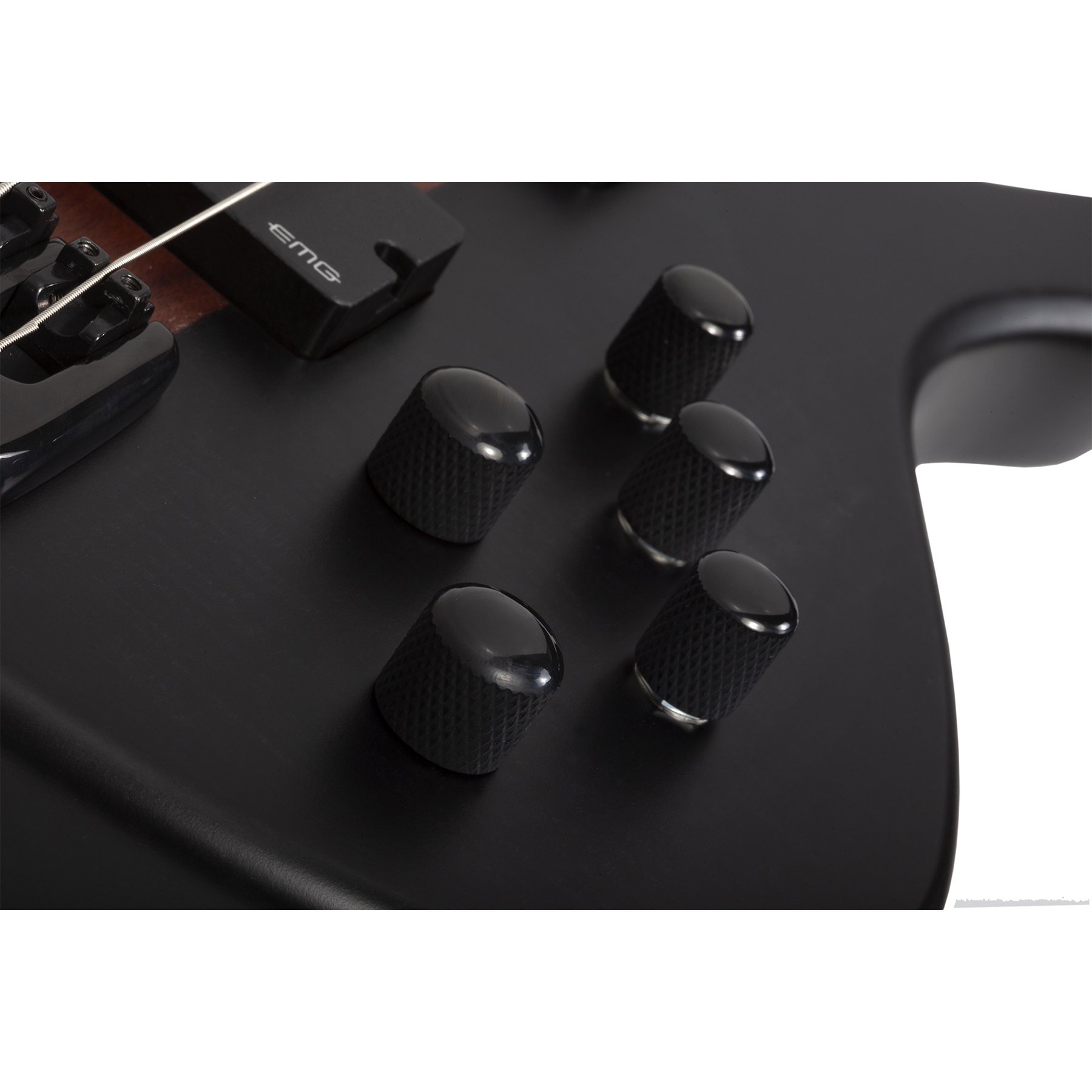 Schecter Charles Berthoud CB Series 5 Telli Bas Gitar (See Thru Black Satin) 5