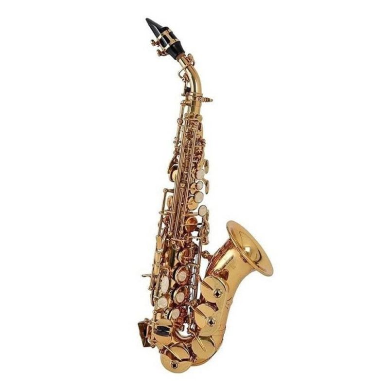 Roy Benson SG-302 Kıvrık Soprano Saksafon 2