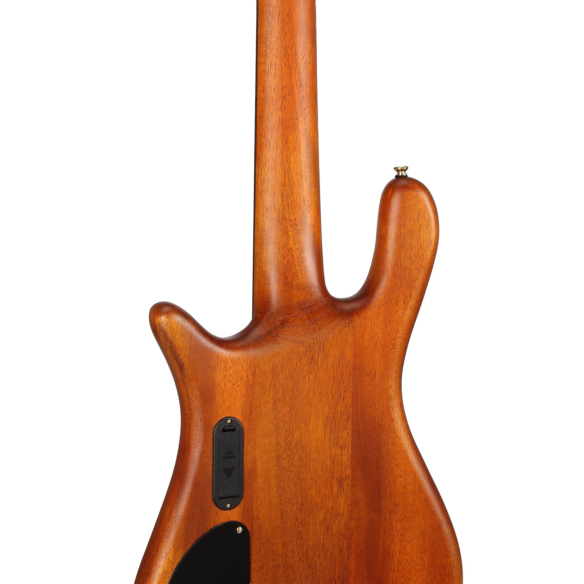 SX SWB1 5 Telli Bas Gitar (Natural) 5