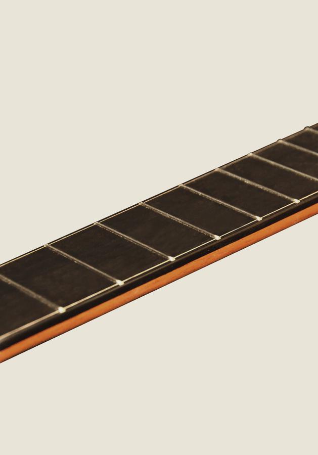 ELEKTRO KLASİK GİTAR LADİN KAPAK FISHMAN PRO BLEND 3